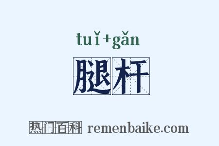 腿杆是什么意思的图片